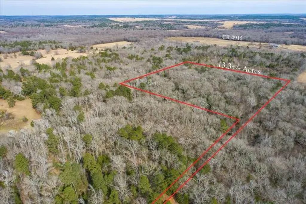 Tbd County Road 4917, Ben Wheeler