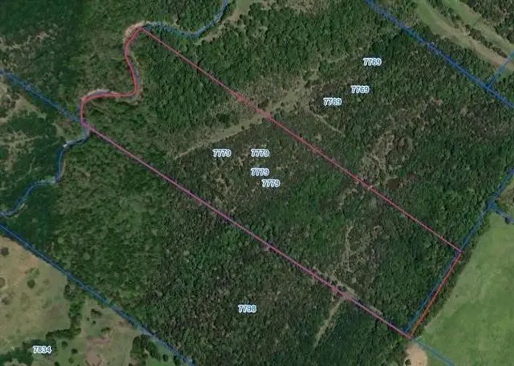 Tbd County Road 1053, Wortham
