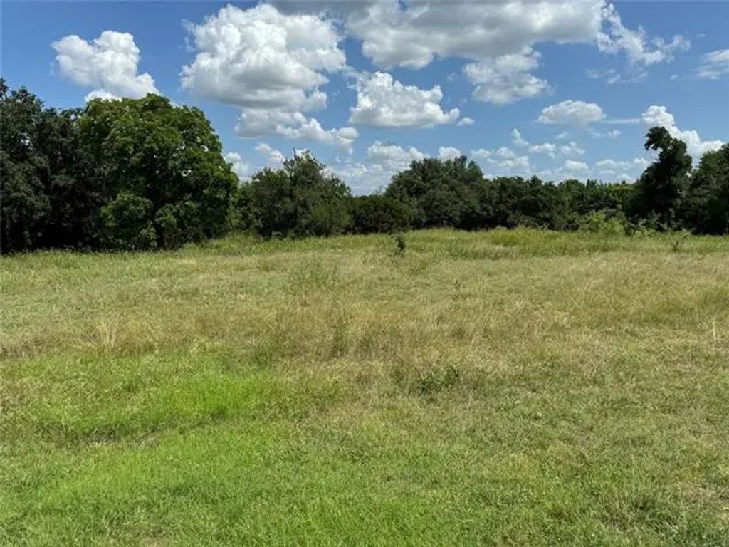 19078 White Bluff Drive, Whitney