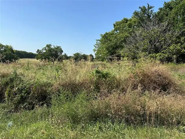 Photo of Listing #20831395