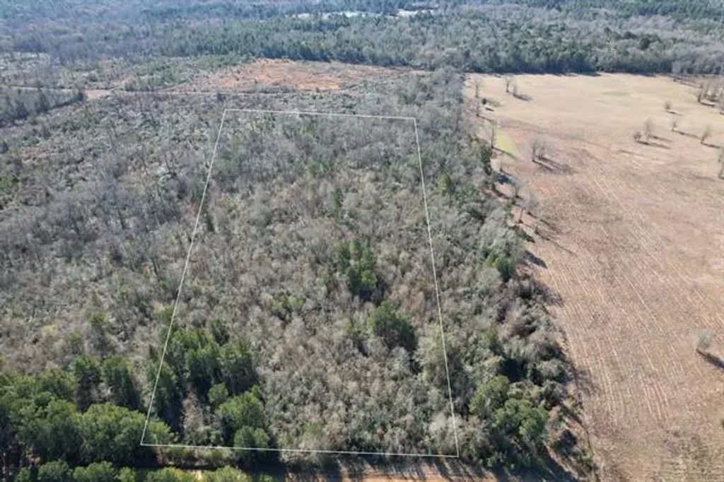 Tbd-c County Road 4021, Timpson