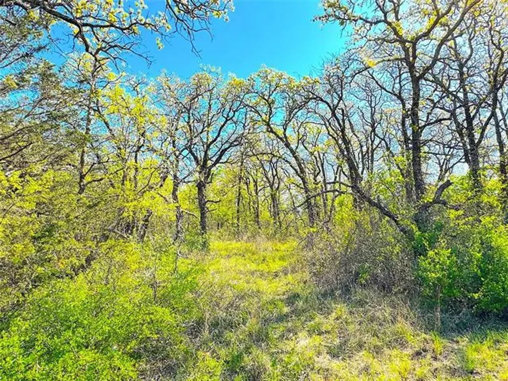 7885 Old Agnes Road, Poolville