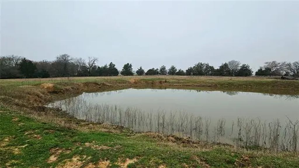 Fm 274, Bonham