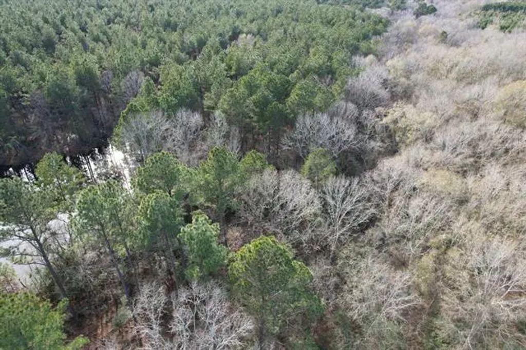 Tract C County Road 4037, Timpson