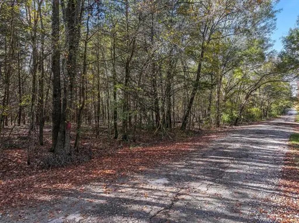Tbd Vz County Road 3117, Edgewood