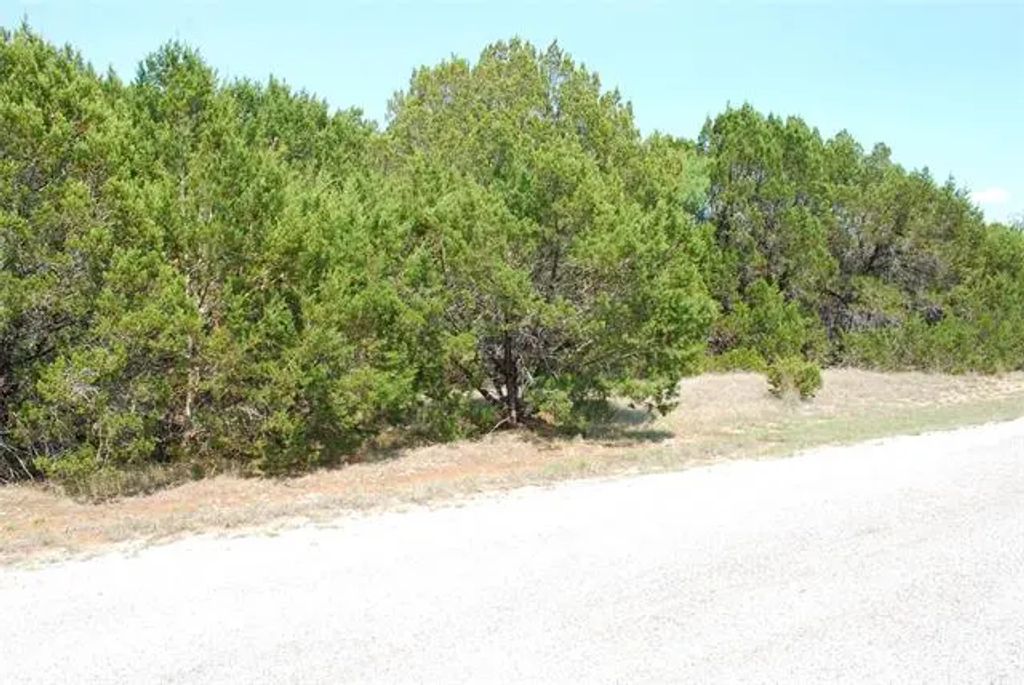 12101 Oak Dale Drive, Whitney