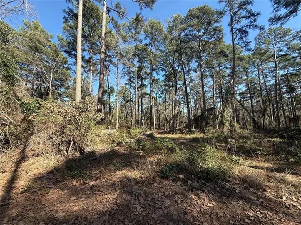 Lot 4 Private Road 8573, Winnsboro