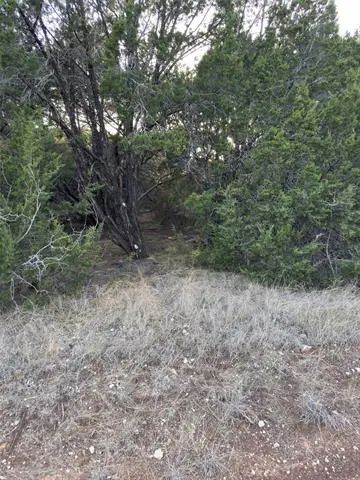 Photo of Listing #20879611