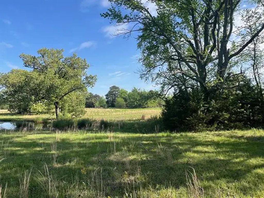 Tbd Cr 1755, Mount Pleasant