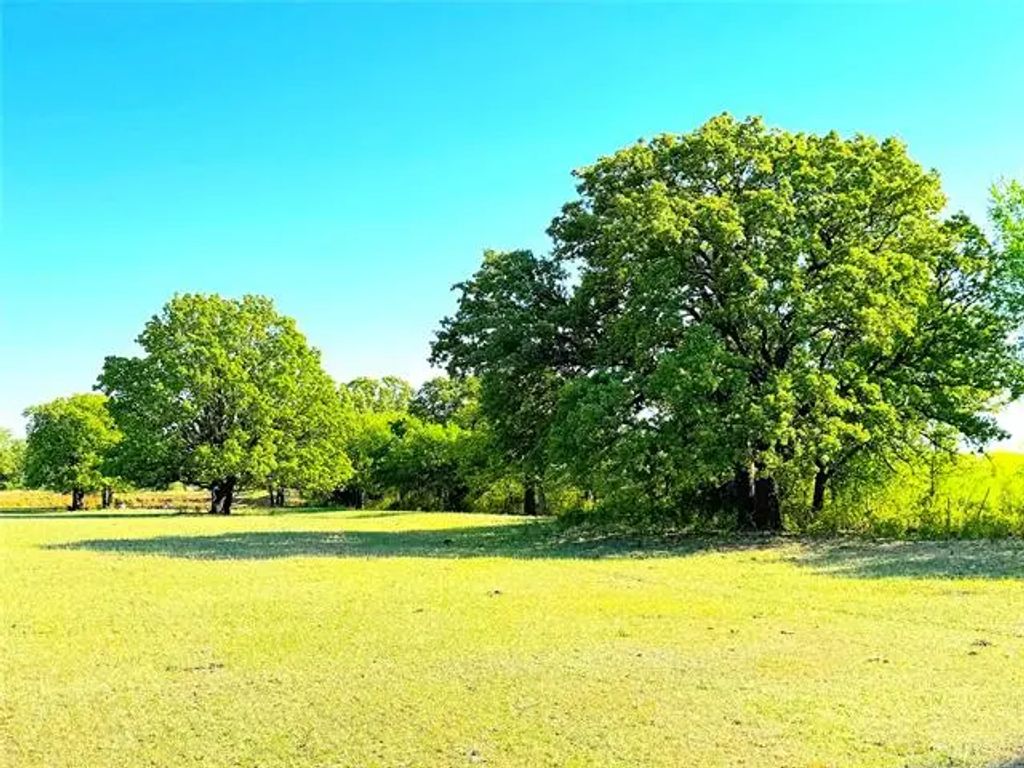 Tbd Mcmillan Road, Mineral Wells
