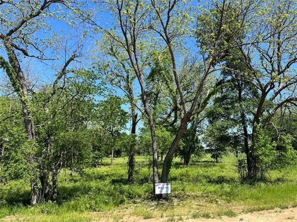 345 Wildflower Way, Dodd City