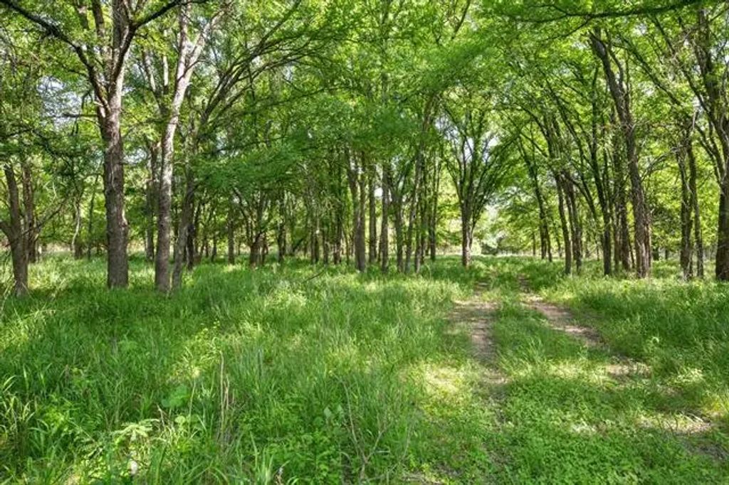 345 County Road 2545, Meridian