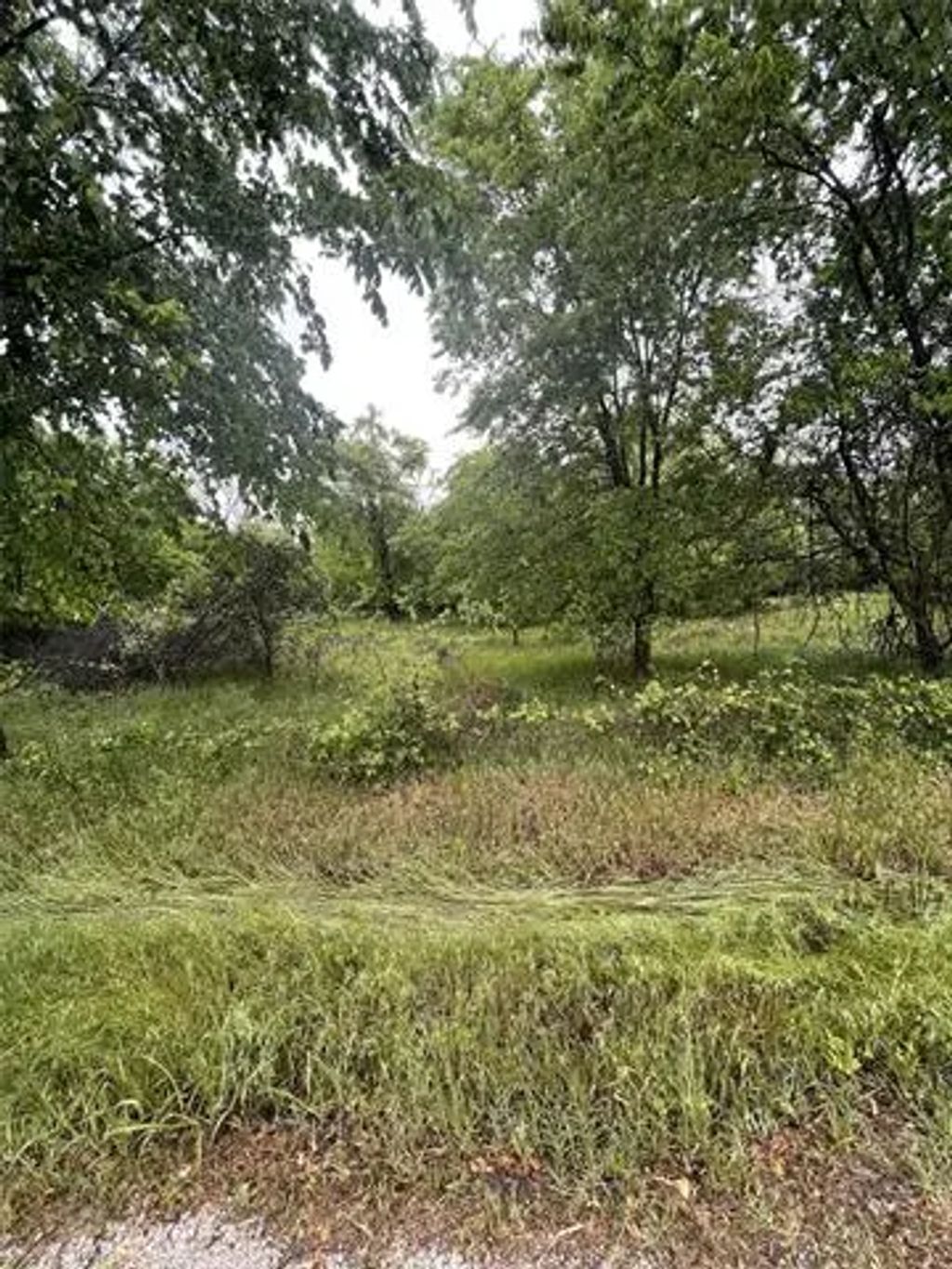 Tbd County Road 4358, Decatur