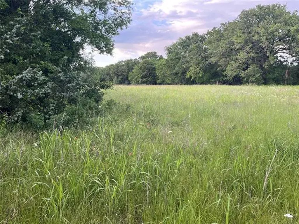 Tract 1 Fm 3043, Bowie