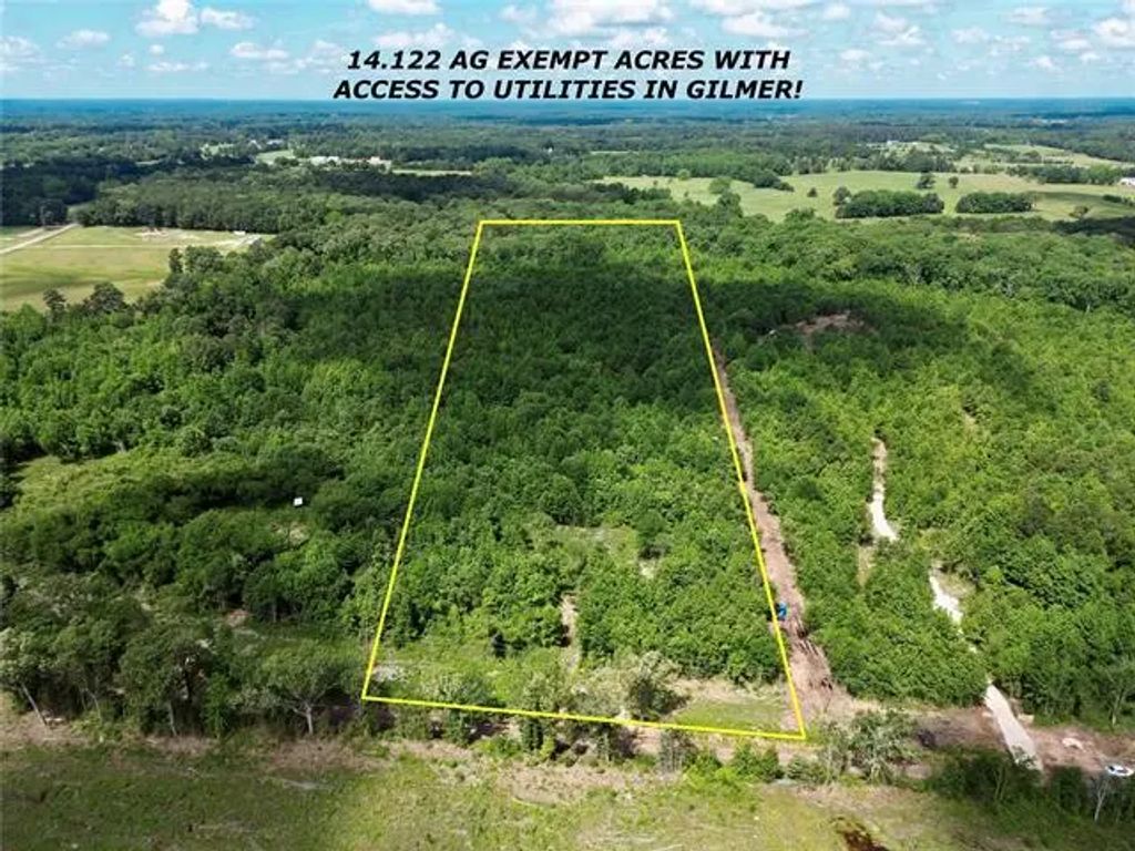 9443 Mistletoe Road Lot 9, Gilmer