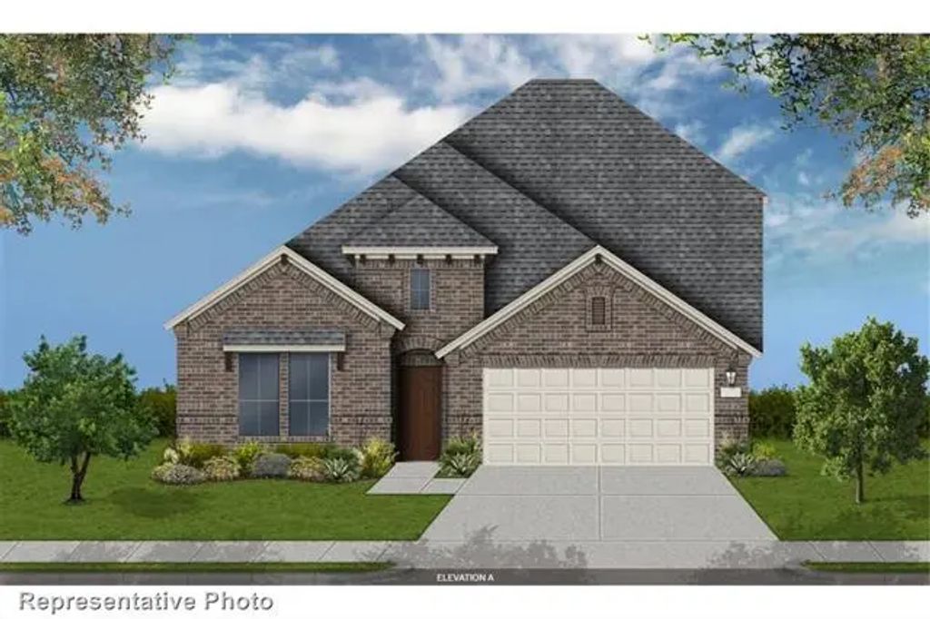 629 Cork, Celina