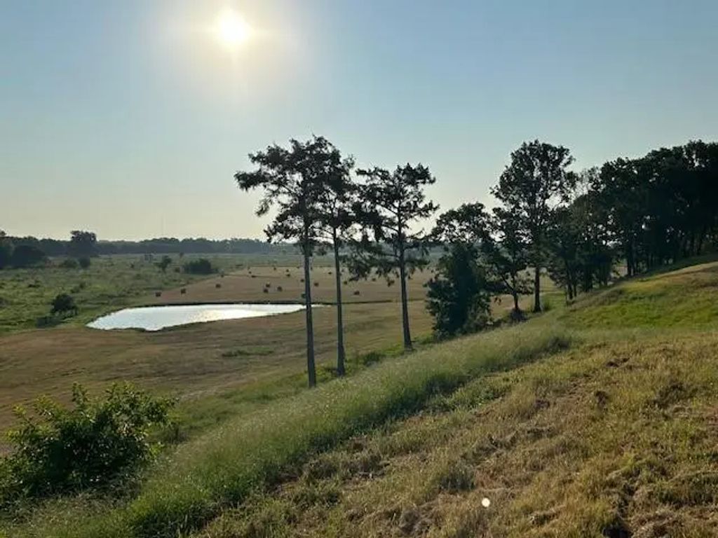 Hwy 71, Shreveport