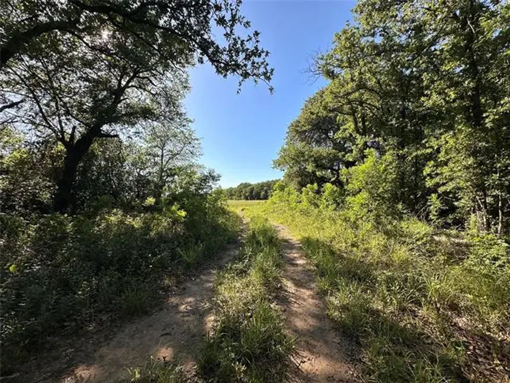County Road 428, Rising Star