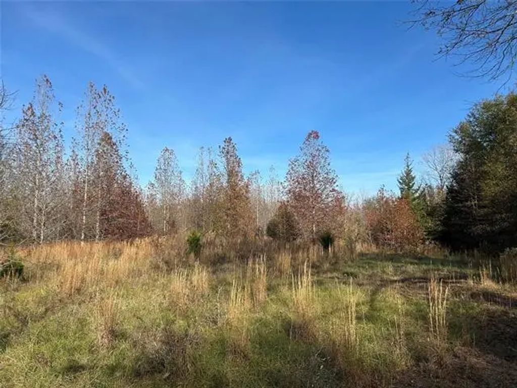 Tract A County Road 1412, Bogata