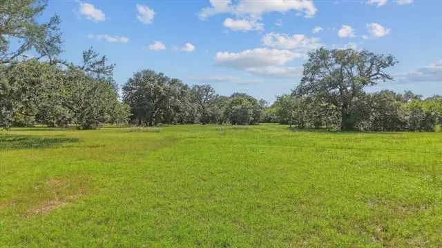 Photo of Listing #20954768