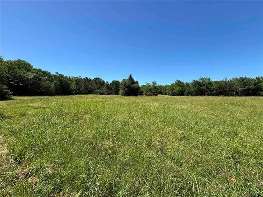 Tbd Fm 2737, Lone Oak
