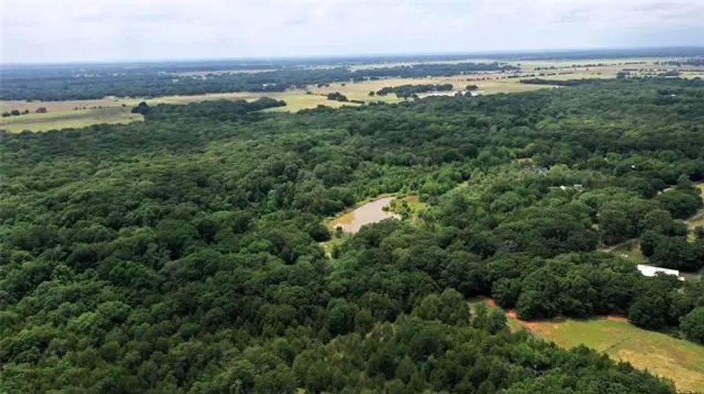 Tbd County Road 2620, Ivanhoe