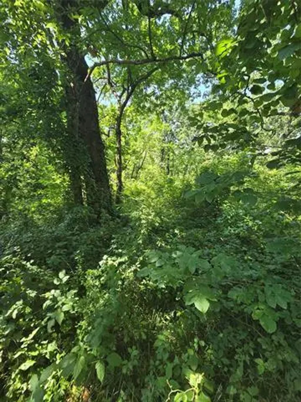 Nina Street, Payne Springs