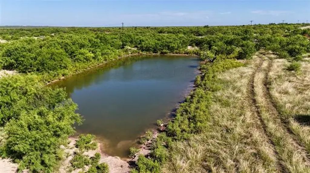 Tbd County 131 Road, Ballinger