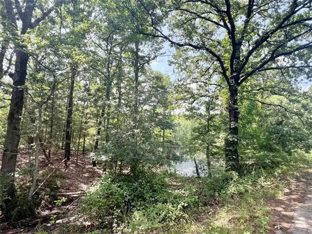 Tbd Cr 1664, Mount Pleasant