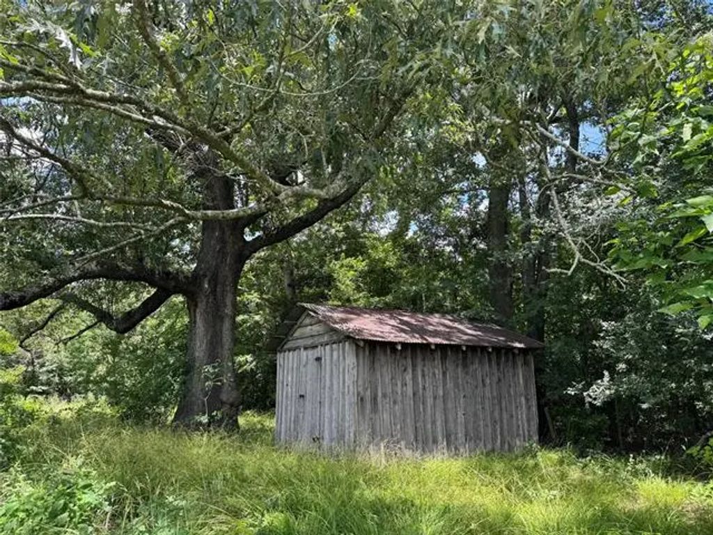 Tbd County Road 3925, Mount Pleasant