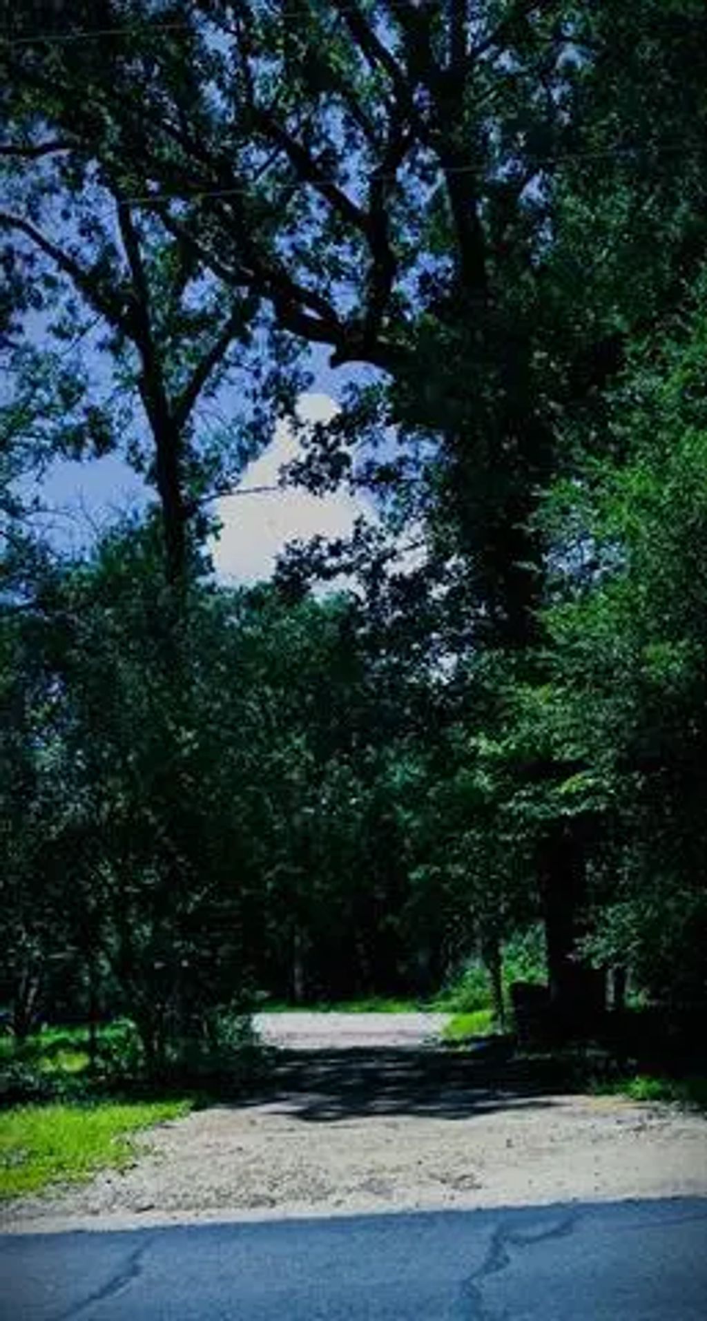 263 W Holly Trail, Holly Lake Ranch