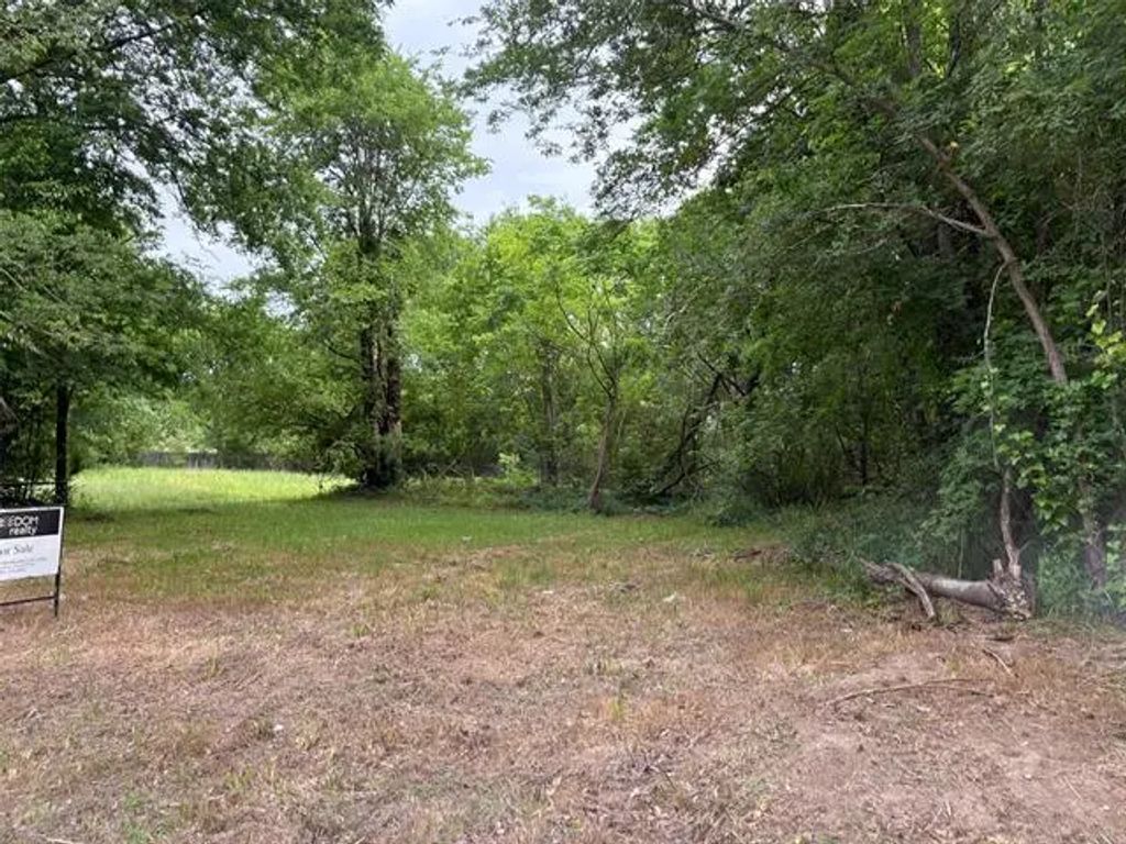 115 Randolph Street, Sulphur Springs
