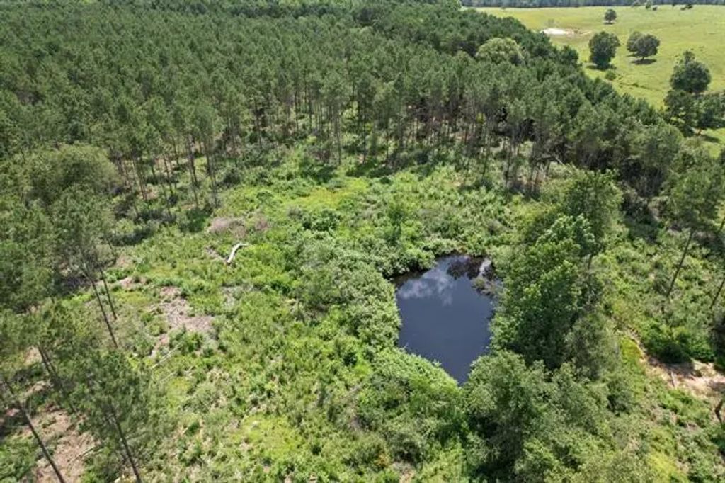Tbd County Road 3706, Tenaha