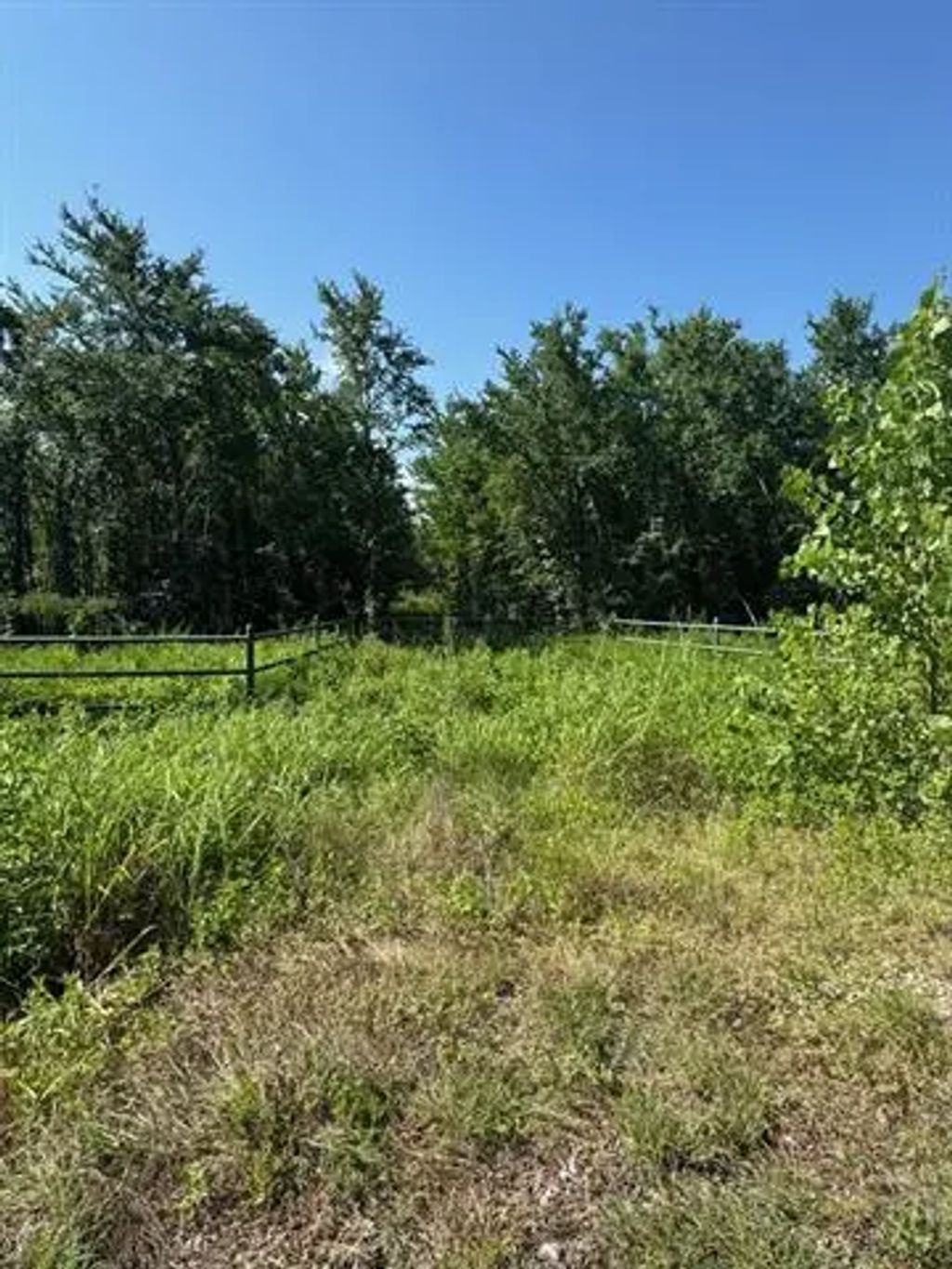 1437 Cedar Mills, Gordonville