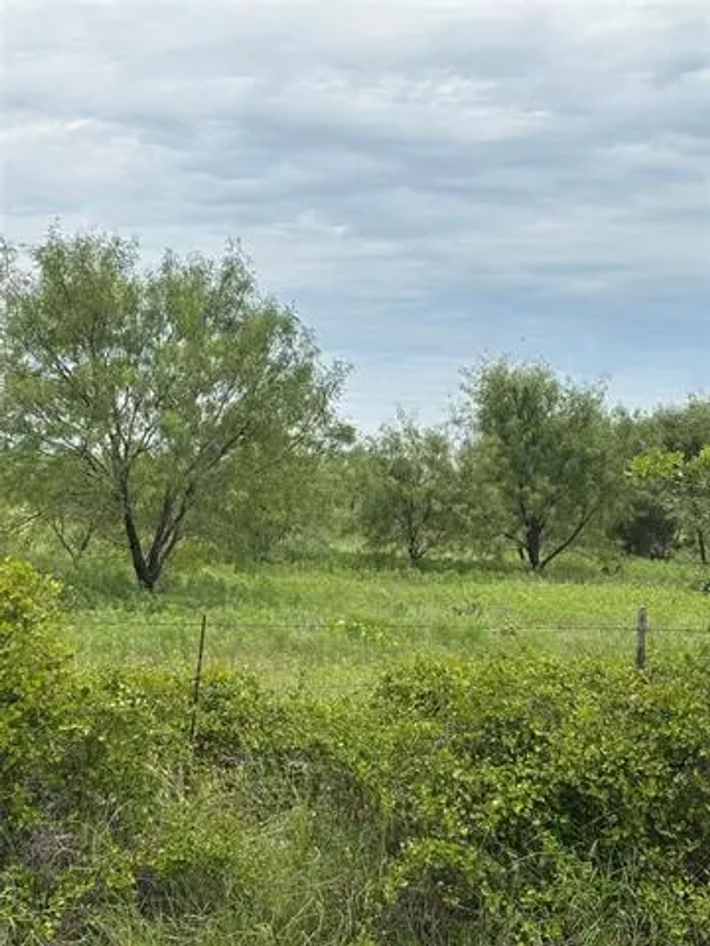 11701 County Road 366, May