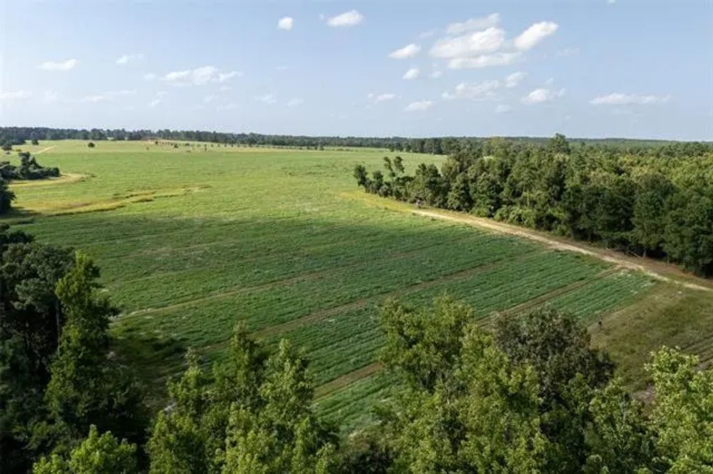 County Road 2180, Grapeland