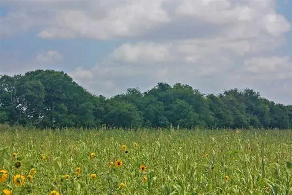2417 County Road 211, Alvarado
