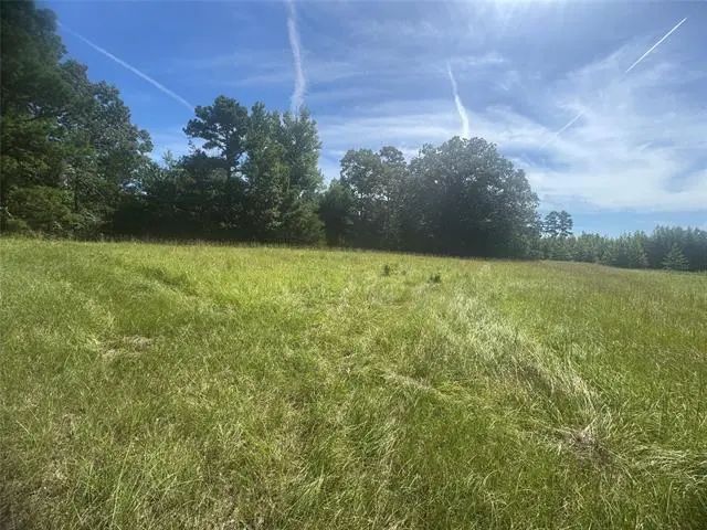 Photo of Listing #21008636