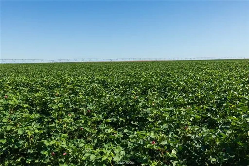 Tbd Cr 1691, O'Brien