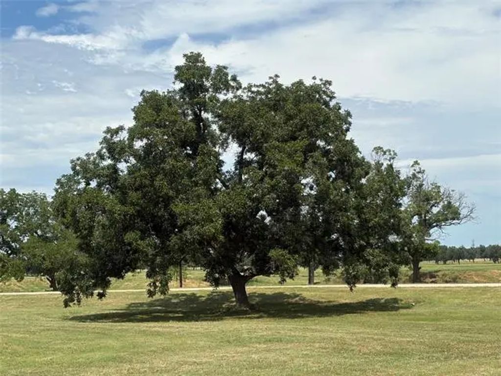 1078 River Ranch Lane, Weatherford