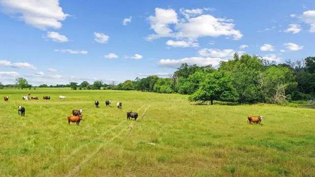1080 Grand Oaks Ranch Road, Greenville