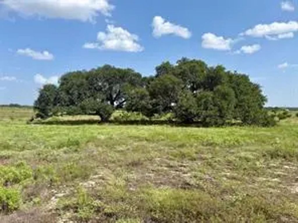 13ac Tbd Pr Fm 2905, Hamilton