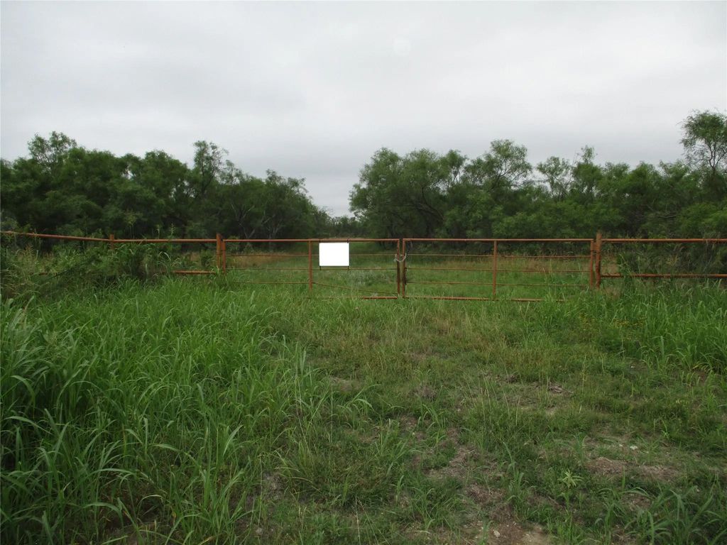 Lot 7 Old Joy Shannon, Bluegrove