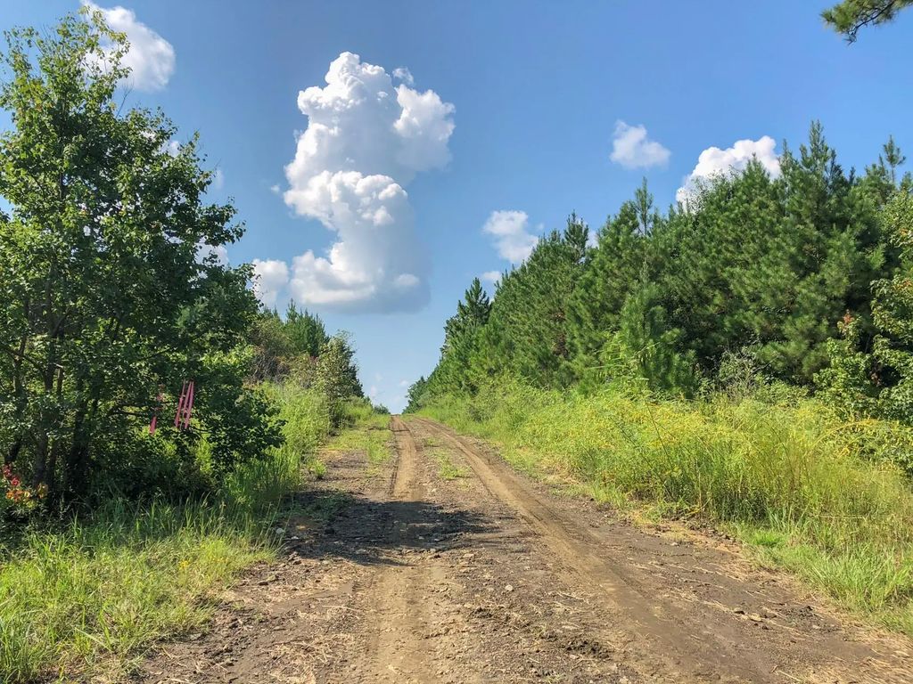 Off Fm 1746, Woodville