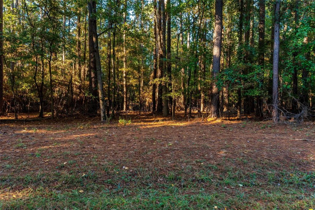 Tbd Wildwood Trail, Mount Vernon
