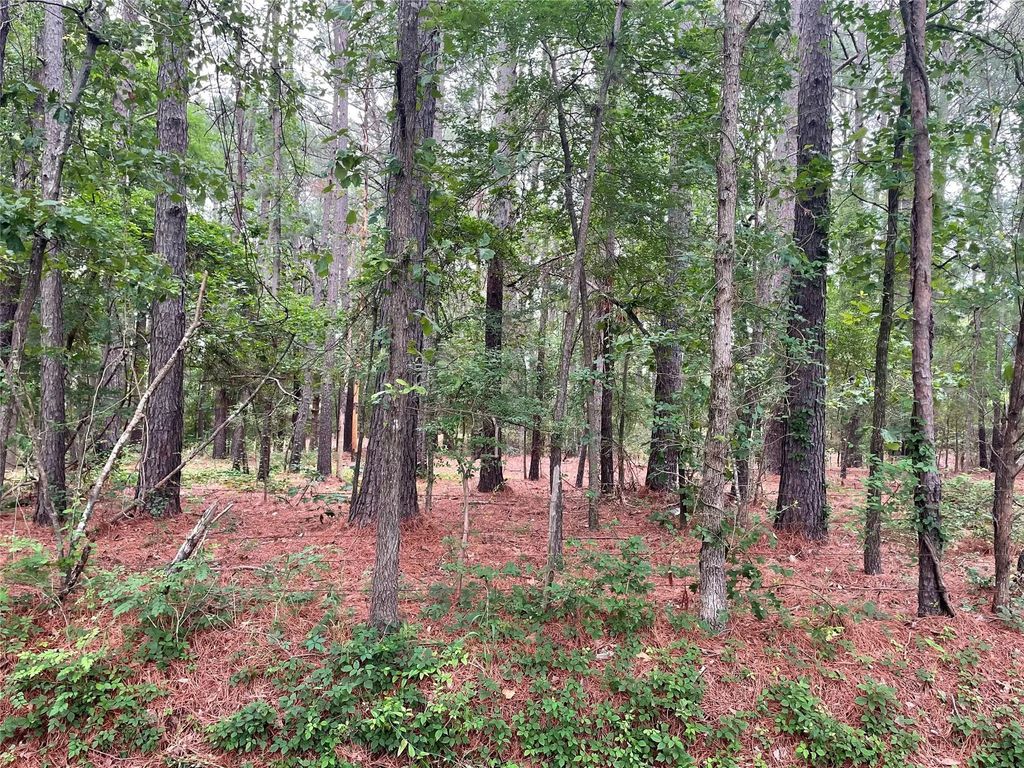20348 County Road 4106 Lot 12, Lindale
