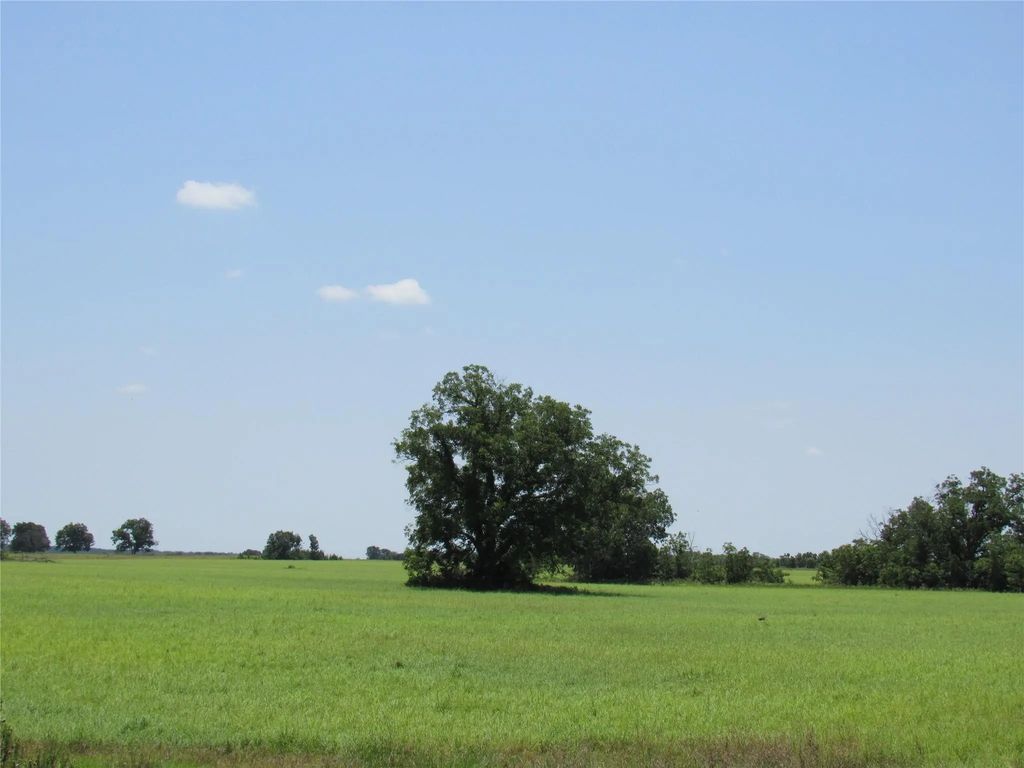 Tbd Co Rd 295, Carbon