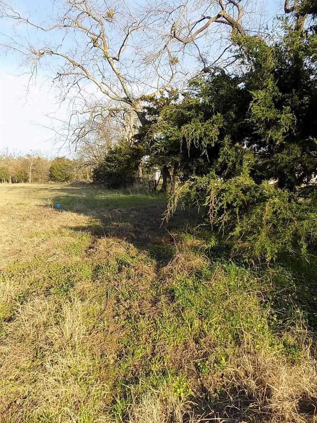 Tbd Rs County Road 3410, Emory