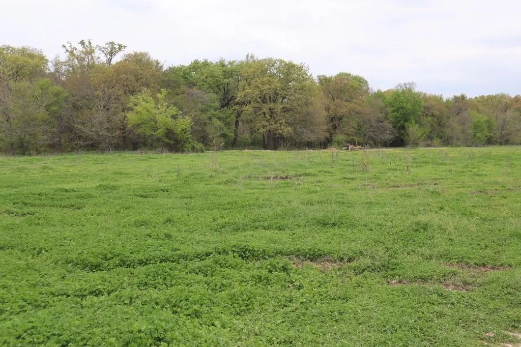 County Road 4764, Sulphur Springs