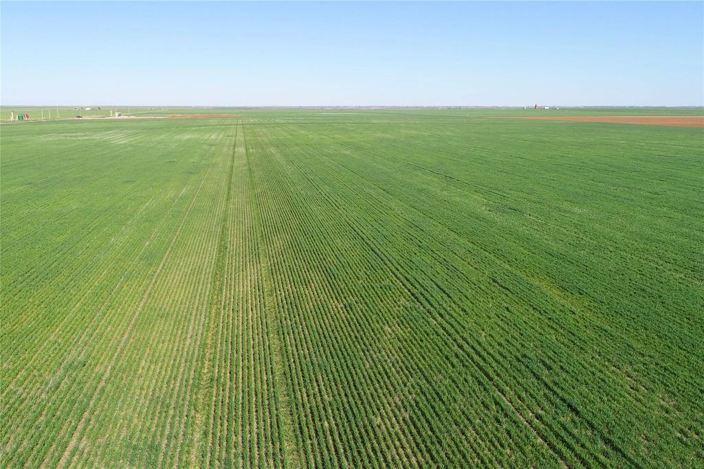 Tbd County Rd 81 S, Vernon